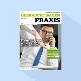 Gebrauchtwagen Praxis: Ausgabe 3/26, Erscheinungstag: 05.03.2026 (März: Software)