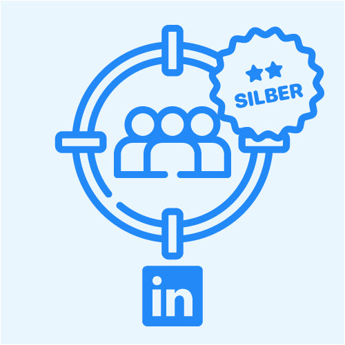 LEISTUNGSELEKTRONIK: Social Targeting LinkedIn Silber