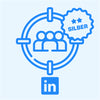 LEISTUNGSELEKTRONIK: Social Targeting LinkedIn Silber