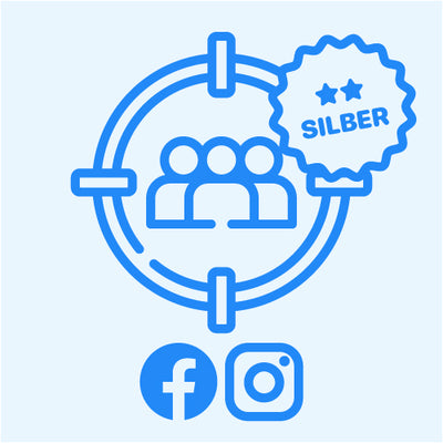 LEISTUNGSELEKTRONIK: Social Targeting Meta Silber
