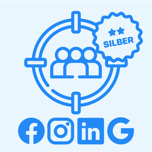 LEISTUNGSELEKTRONIK: Social Targeting Network Silber