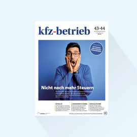 kfz-betrieb: Ausgabe 43/44-25, Erscheinungstag: 31.10.2025 (Finanzdienstleistungen/Klimatisierung)